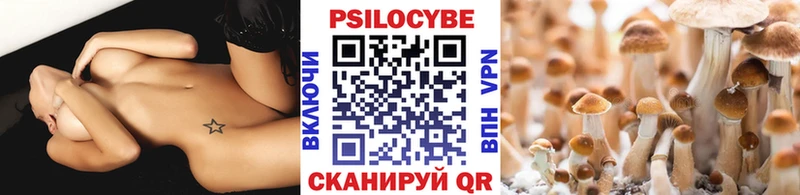 Купить закладки  Тайшет  Галлюциногенные грибы Psilocybe 