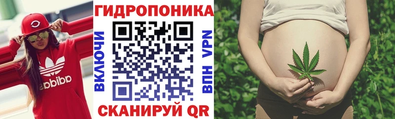 Каннабис гибрид Тайшет